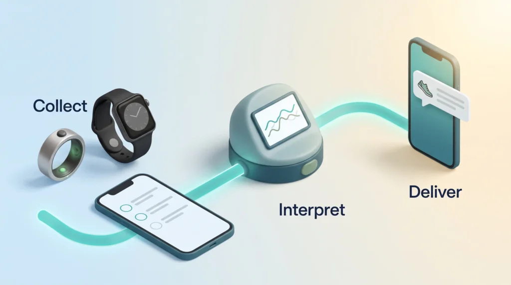 AI wellness coach pipeline that collects ring, watch and check-in data, interprets the patterns and delivers a short walking nudge to a phone.